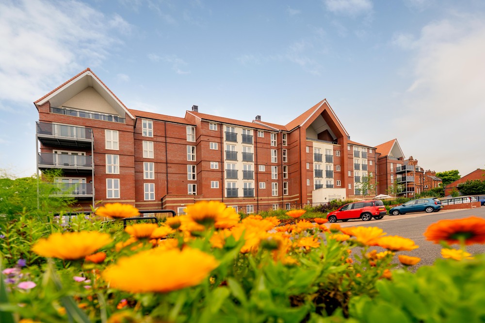 Sycamore Court