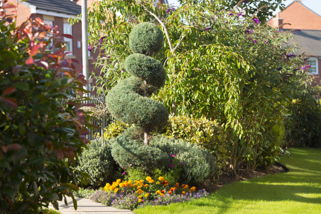 Beatty Court – Nantwich – Garden