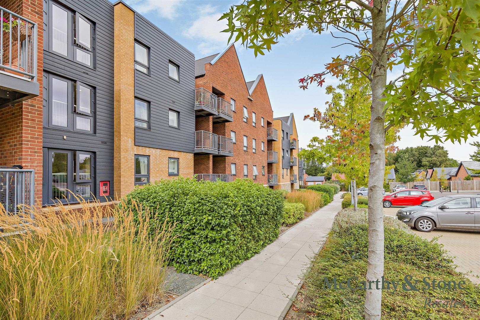 Daisy HIll Court