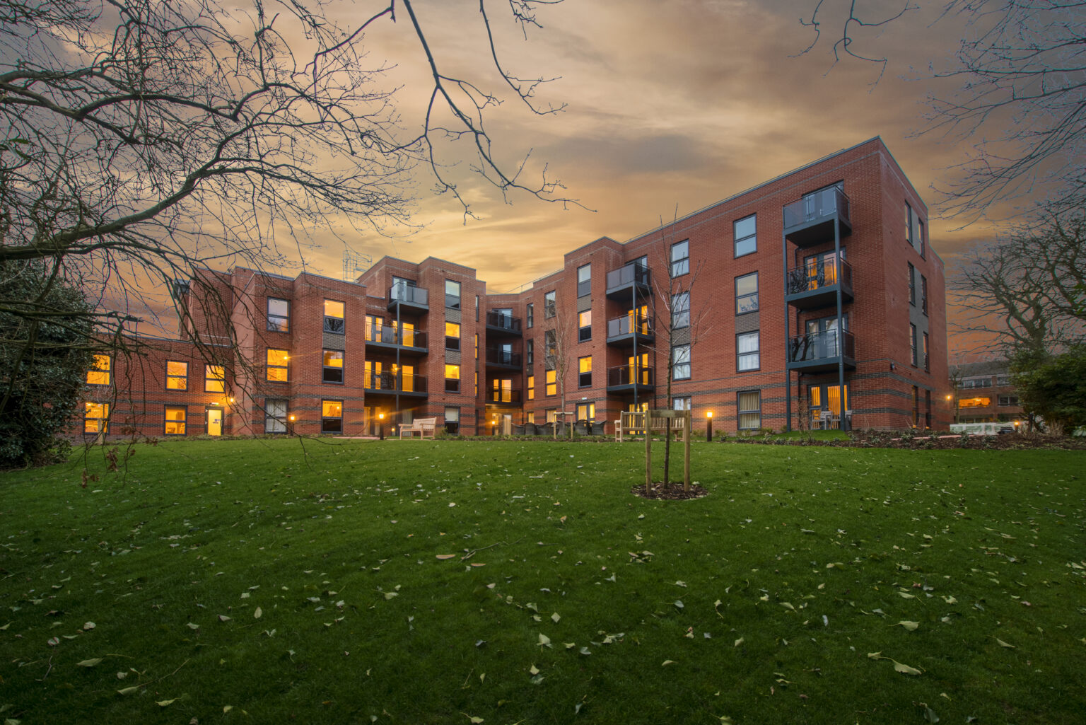 2260_DBG_RYL_RLP_EXT_7