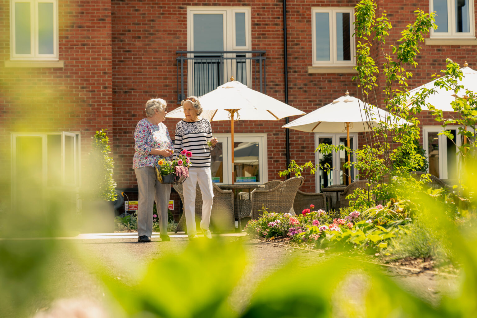 2312_THT_WLL_RP_GRD_1