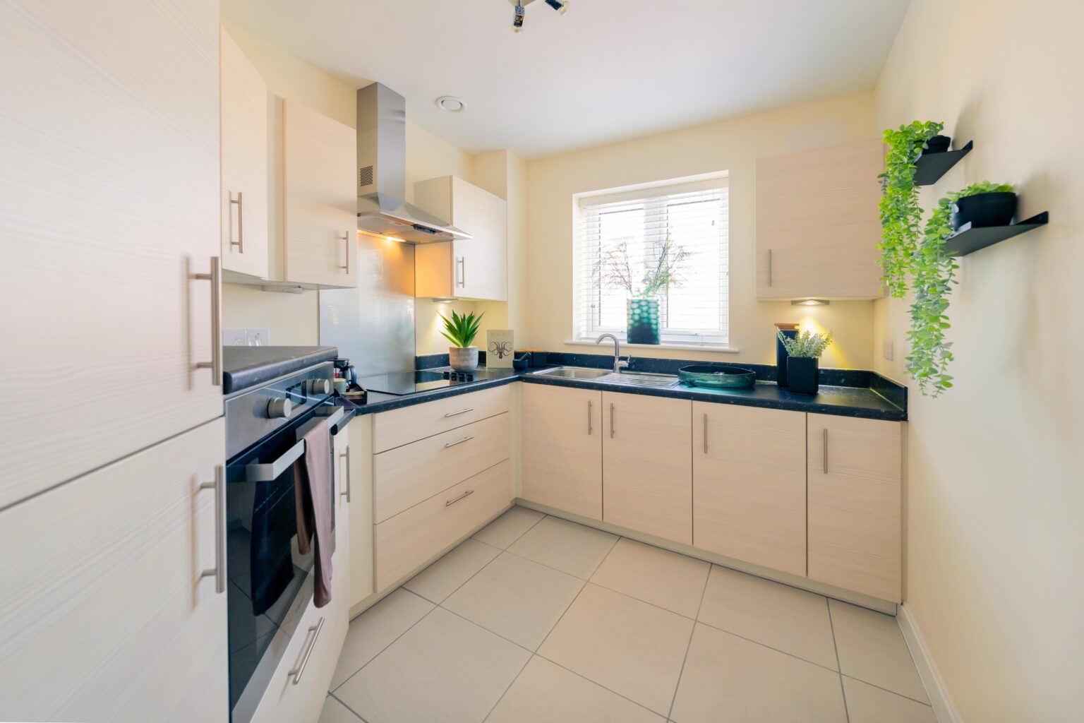 2339_STH_SYM_RL_KCN_3